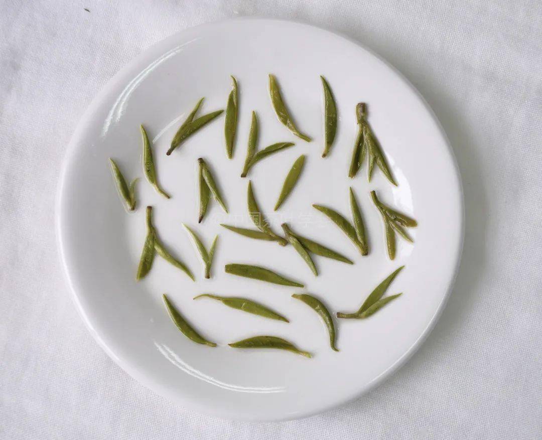 呦呦掌柜app苹果版
:茶科普 | 世界非物质文化遗产 中国传统制茶技艺 绿茶篇⑤——恩施玉露、都匀毛尖、雨花茶、蒙山茶-第14张图片-太平洋在线下载