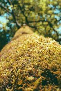 苹果版游戏商城软件-第3张图片-太平洋在线下载 苹果版游戏商城软件-第3张图片-太平洋在线下载