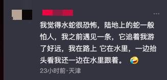 男子河里游泳遇到蛇，吓得抓起来狂甩数十次，拍摄者：最后蛇可能被甩晕了，一动也不动-第4张图片-太平洋在线下载