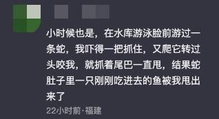 男子河里游泳遇到蛇，吓得抓起来狂甩数十次，拍摄者：最后蛇可能被甩晕了，一动也不动-第5张图片-太平洋在线下载