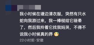 男子河里游泳遇到蛇，吓得抓起来狂甩数十次，拍摄者：最后蛇可能被甩晕了，一动也不动-第6张图片-太平洋在线下载