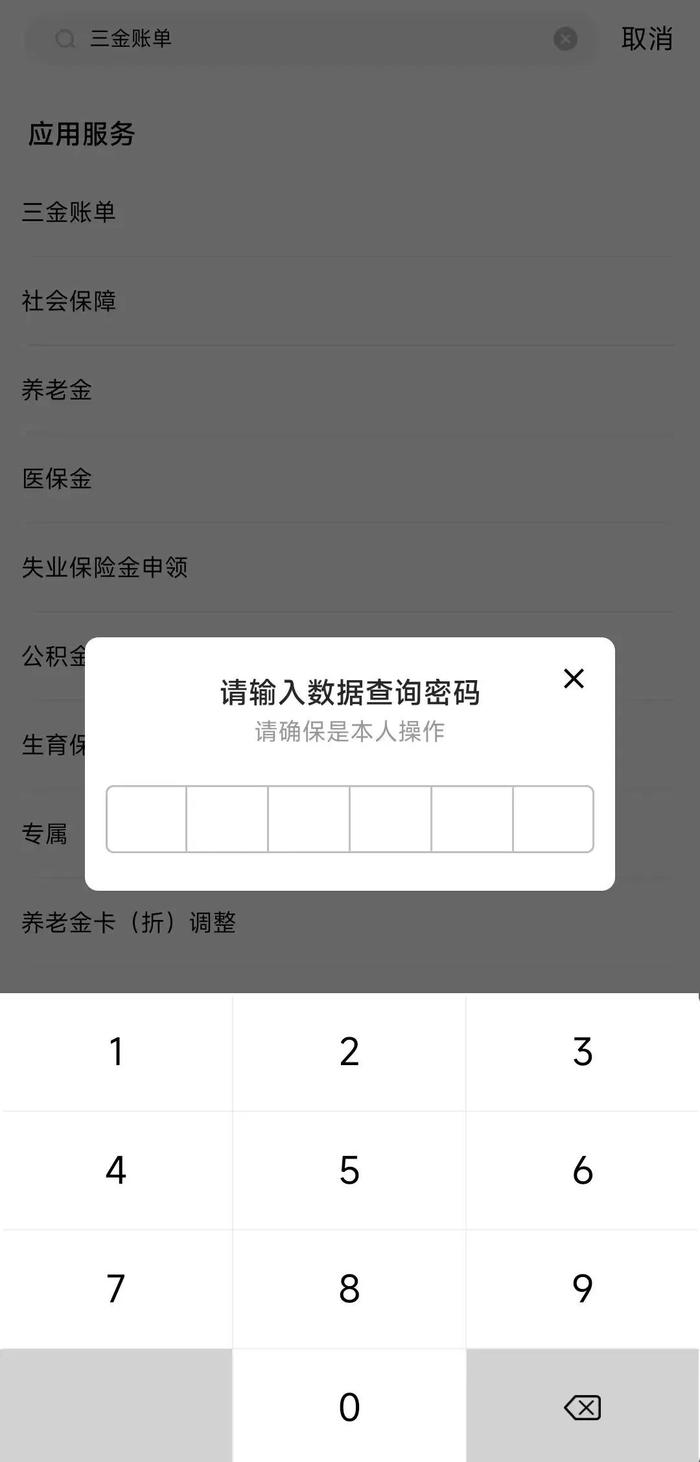 上海社保客户端官方下载社保缴费客户端app下载-第2张图片-太平洋在线下载