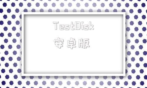 TestDisk安卓版photorectestdisk