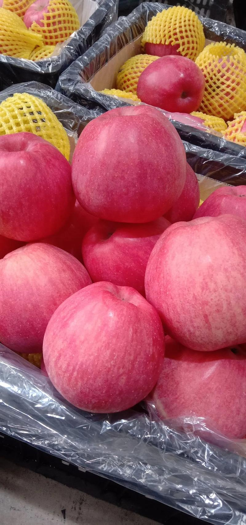 吉林版苹果(吉林通苹果手机怎么下载)-第2张图片-QuickQ官网 吉林版苹果(吉林通苹果手机怎么下载)-第2张图片-QuickQ官网