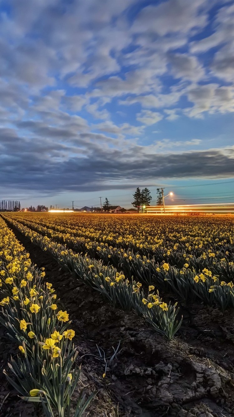 水仙苹果版(水仙游戏)-第5张图片-QuickQ官网 水仙苹果版(水仙游戏)-第5张图片-QuickQ官网
