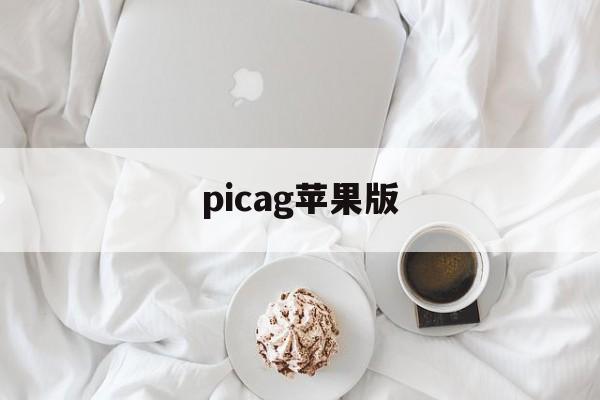 picag苹果版(picacgiphone下载)-第4张图片-QuickQ官网