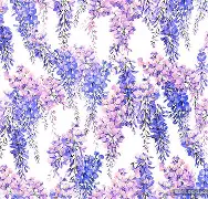 紫罗兰re手机版(紫罗兰acg完结游戏精选)