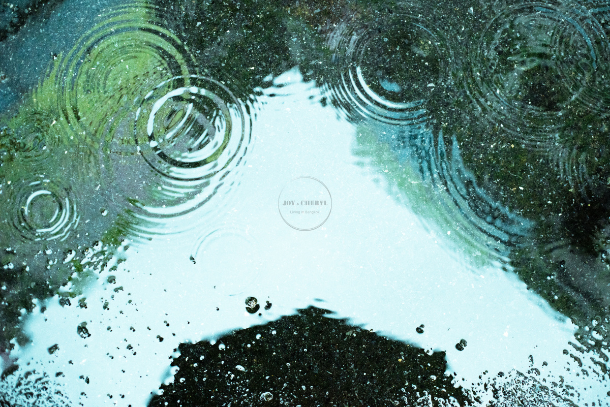 曼谷暴雨苹果版(曼谷暴雨游戏)-第2张图片-QuickQ官网