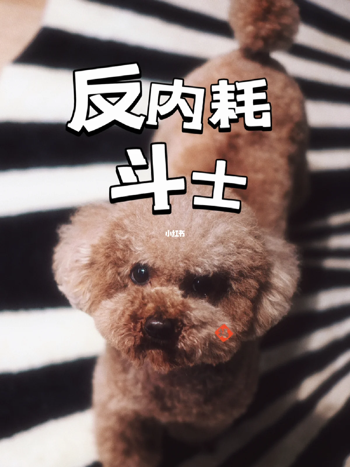 我的真实情绪安卓版(我的真实情感作文250字)-第5张图片-QuickQ官网