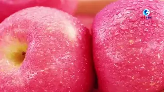 苹果netkeepermac版(ios怎么连接netkeeperwifi)-第2张图片-QuickQ官网