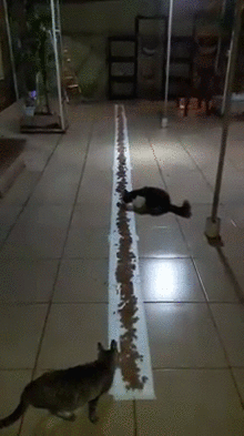 众筹苹果手机段子版(众筹苹果手机是什么意思)-第4张图片-QuickQ官网